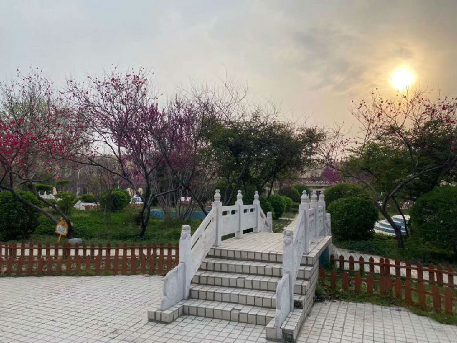 微信图片_20200331100638.jpg